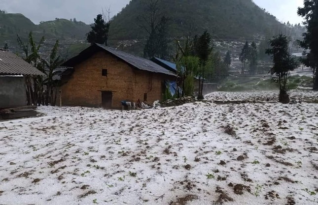 Cận cảnh mưa đá gây thiệt hại lớn ở các tỉnh miền núi phía Bắc